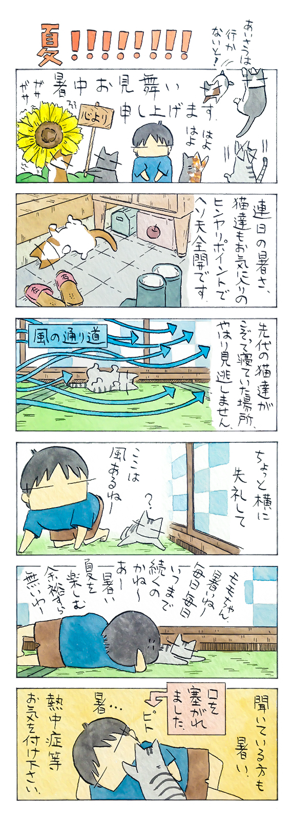 kubo_2018_07_29_1.jpg