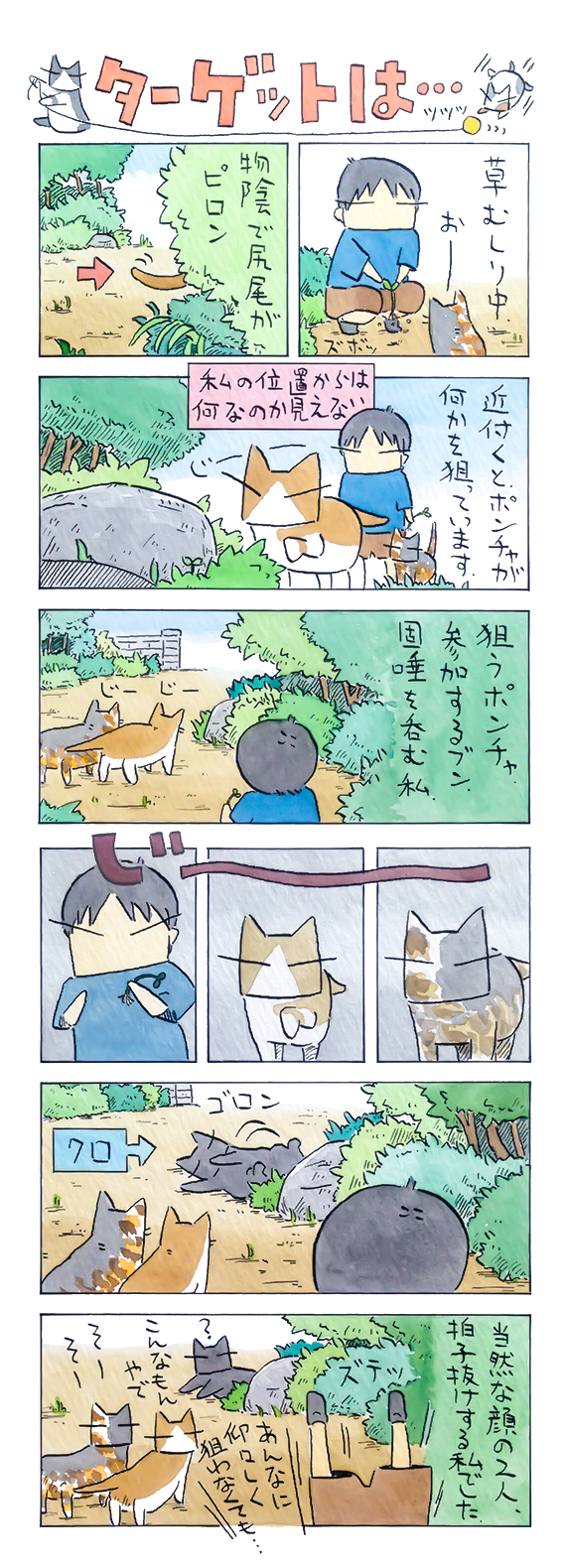 kubo_2018_09_02_1.jpg