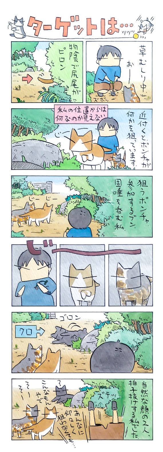 kubo_2018_09_02_1.jpg