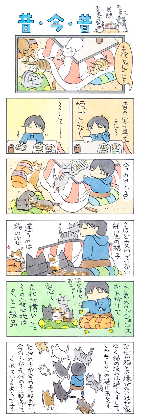 kubo_2019_02_10_1.jpg