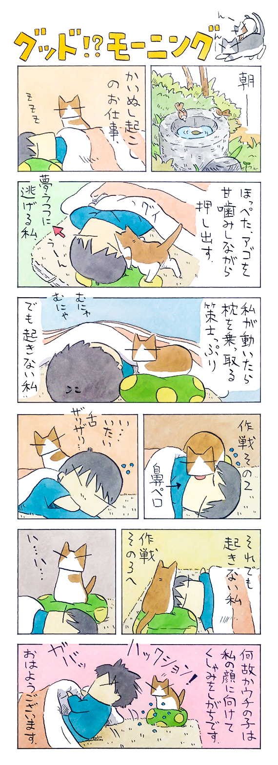 kubo_2019_02_17_1.jpg