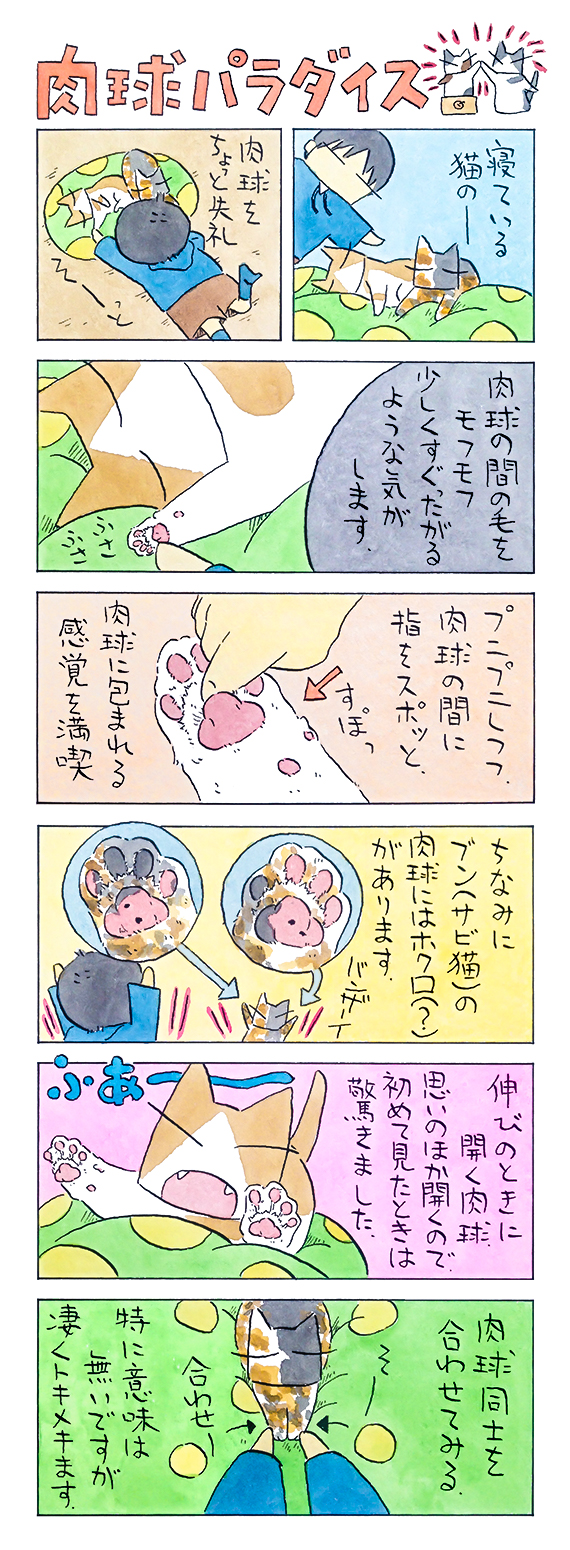 kubo_2019_03_10_1.jpg