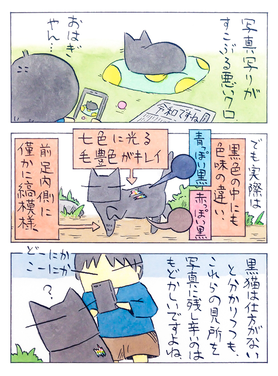 kubo_2019_05_12_2.jpg