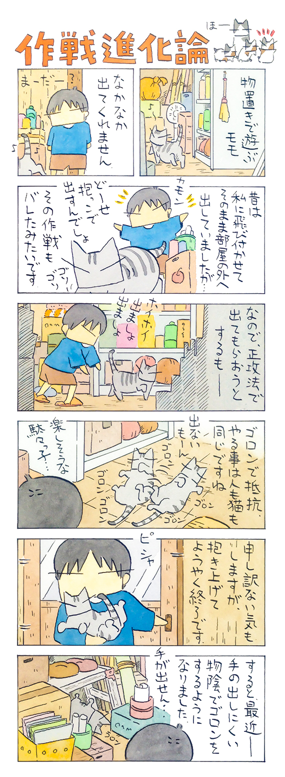 kubo_2019_06_02_1.jpg