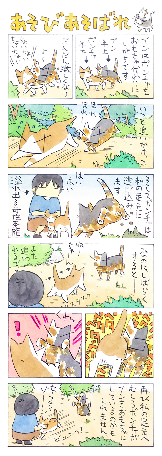 kubo_2019_06_09_1.jpg