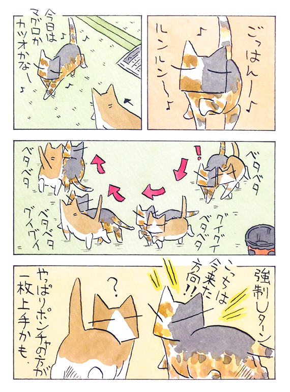 kubo_2019_06_09_2.jpg