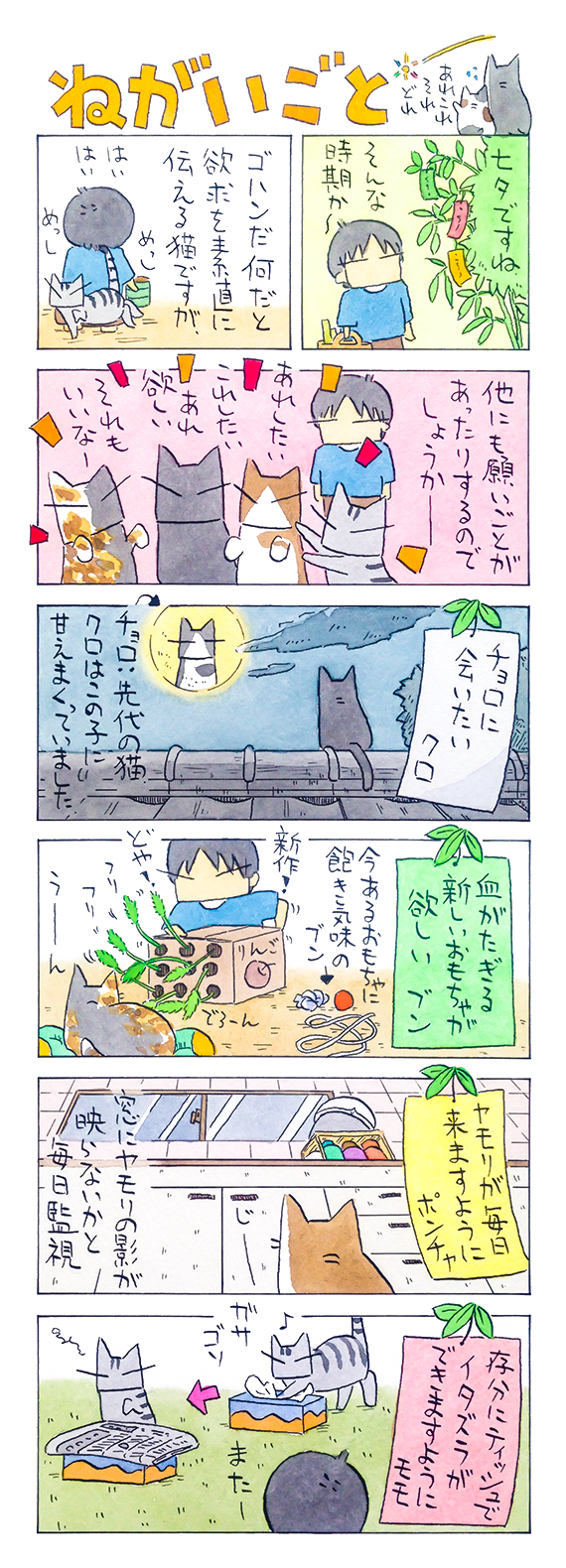 kubo_2019_07_07_1.jpg