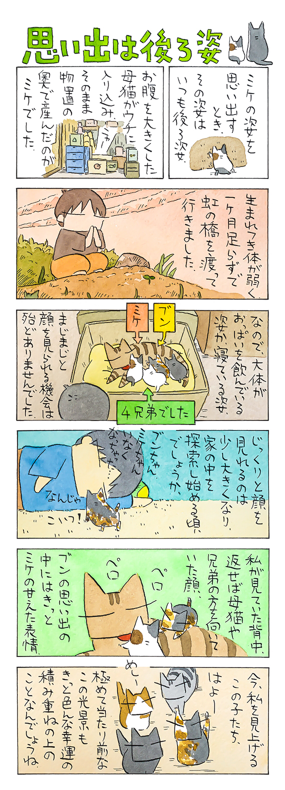 kubo_2019_09_29_1.jpg