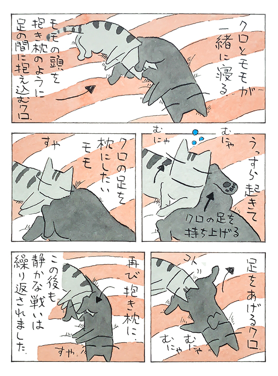 kubo_2019_12_15_2.jpg