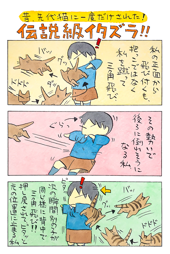 伝説 フェリシモ猫部 伝説 フェリシモ猫部