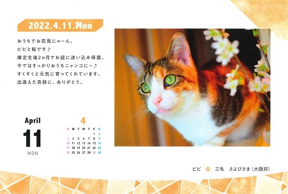mainichi2022_page1.jpg