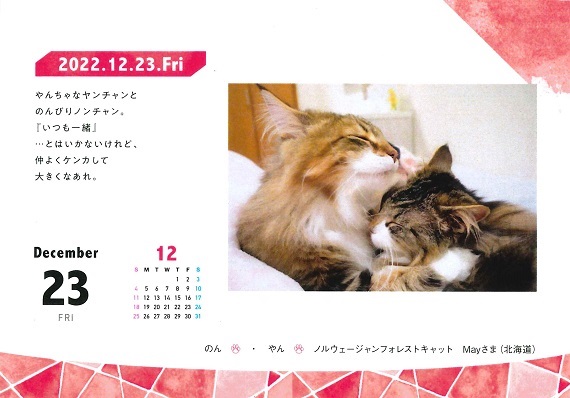 mainichi2022_page3.jpg