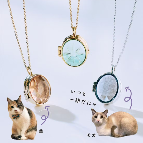 mainneko.png