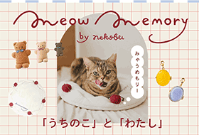 meow memory