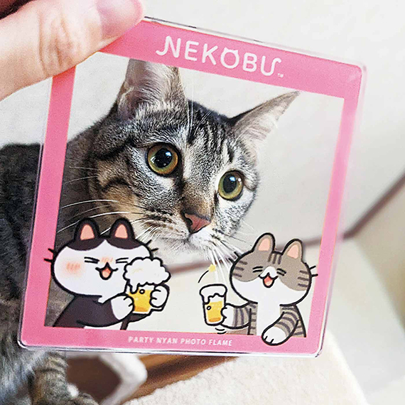mfa_neko_re.jpg