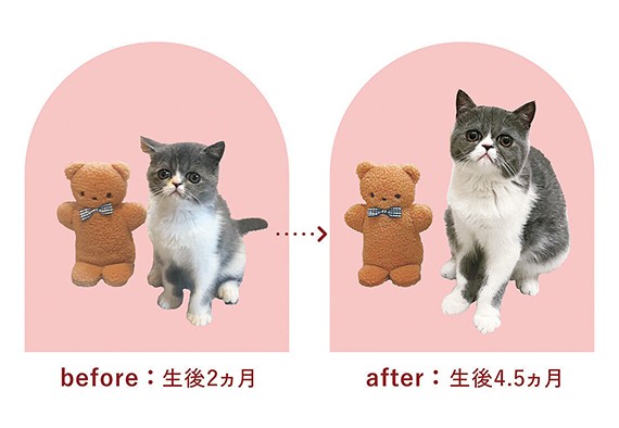 min__0000_302132-productcuts-05-99999999-M.jpg