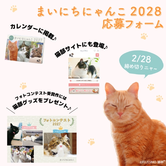 mn2028_banner-01_min.jpg