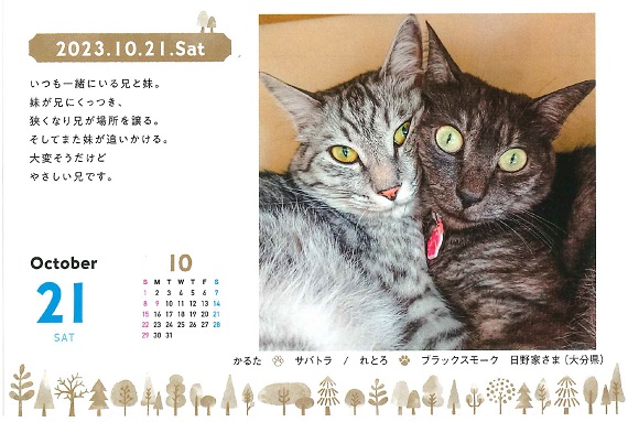 にゃんこ様専用 6/14まで cmjuripiranga.pb.gov.br