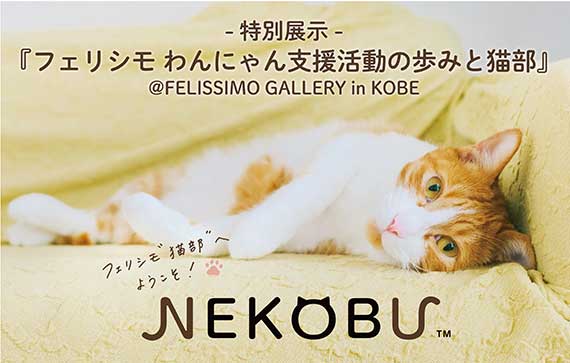 nekobu2F_tenjiTOP2_re.jpg