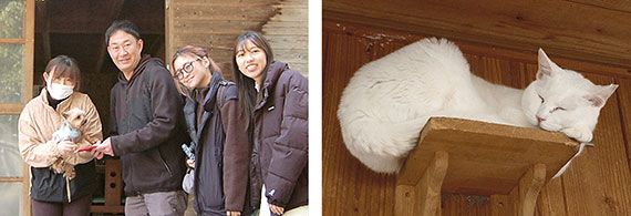 nekobucollabo_02_re.jpg