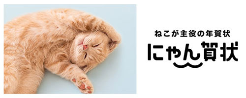 nekobucollabo_06_re.jpg