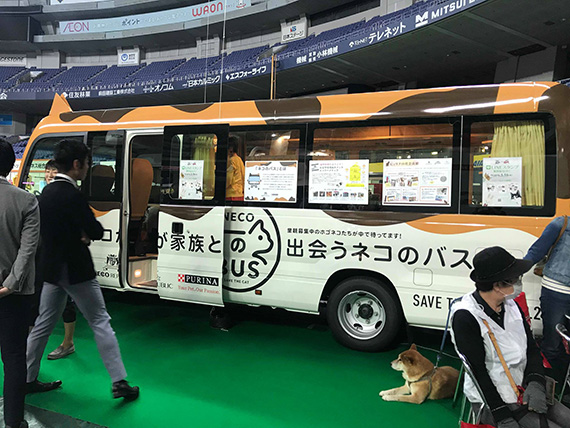 nekoichi2019sub16.jpg
