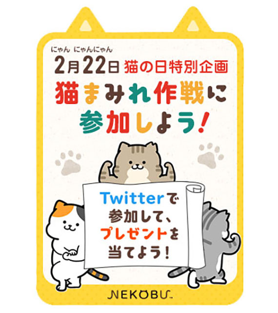 2023年の猫の日も、猫部の楽しい