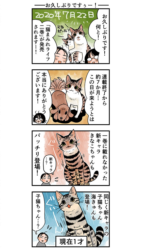 nekomamire2_rinrin1_re.jpg