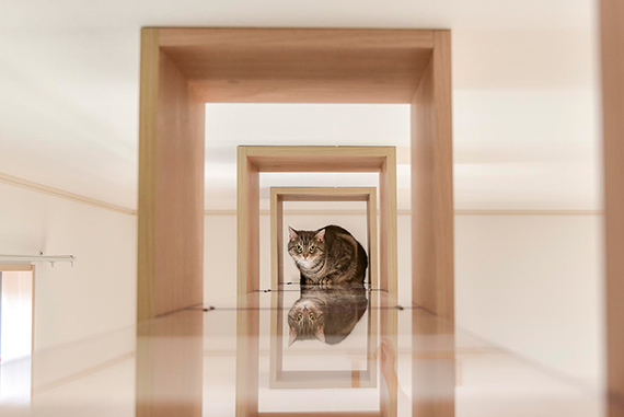 猫のために設計した賃貸 猫の家 が完成 和田興産とフェリシモ猫部が共同開発 フェリシモ猫部