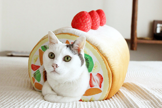 具になってまた り W にゃんこロールケーキトンネル が新登場 フェリシモ猫部