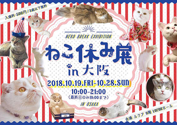 nekoyasumi2018osaka_570.jpg