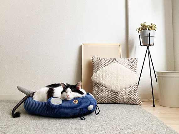 猫ベッド界初！？耳が動いて遊べる「ネズミさんベッド」が新登場
