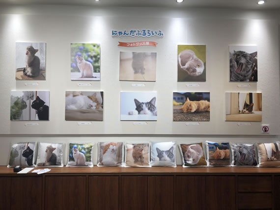フェリシモ猫部 富士フイルム にゃんだふるらいふ フォトグッズ展が 8 31 土 からfujifilm Wonder Photo Shopで開催 フェリシモ猫部