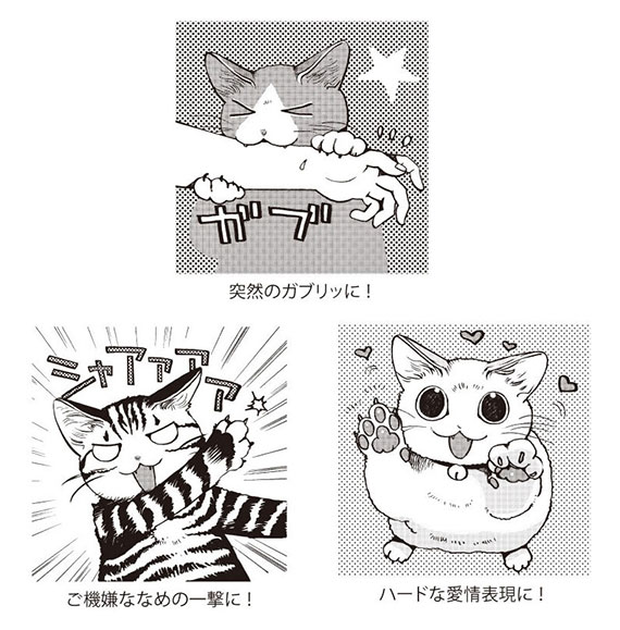 あの 猫傷専用ばんそうこう にゃんそうこう に新作登場 フェリシモ猫部 あの 猫傷専用ばんそうこう にゃんそうこう に新作登場 フェリシモ猫部
