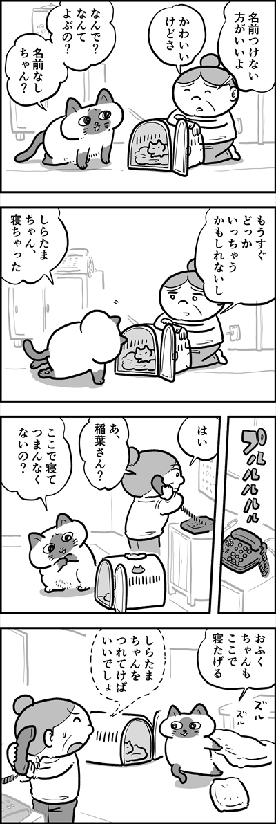 ofukuchan_manga_25_2_R.jpg