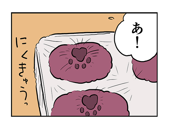 丸めると
