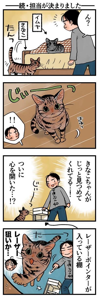 rinrin_neko220.jpg