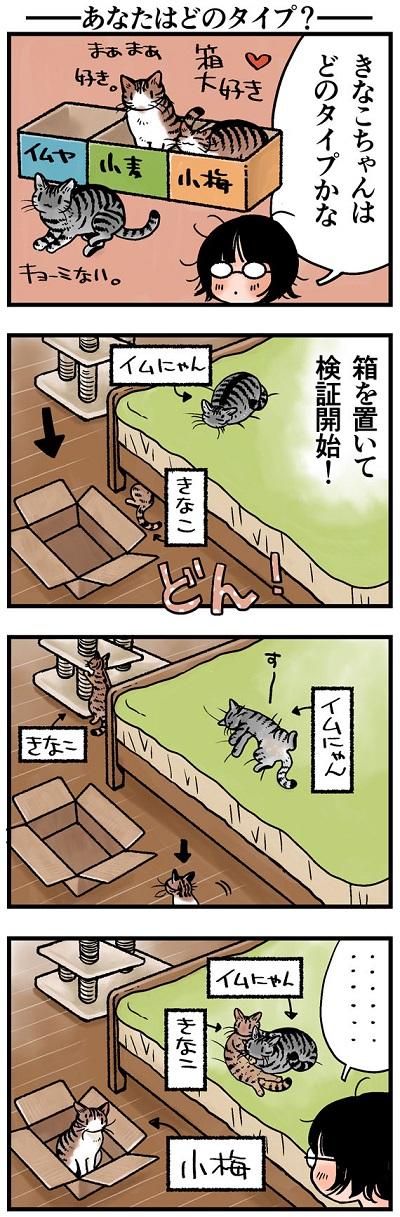 rinrin_neko228.jpg
