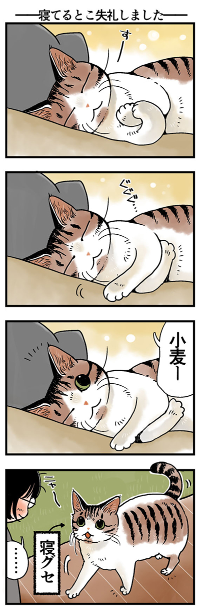 rinrin_neko299.jpg