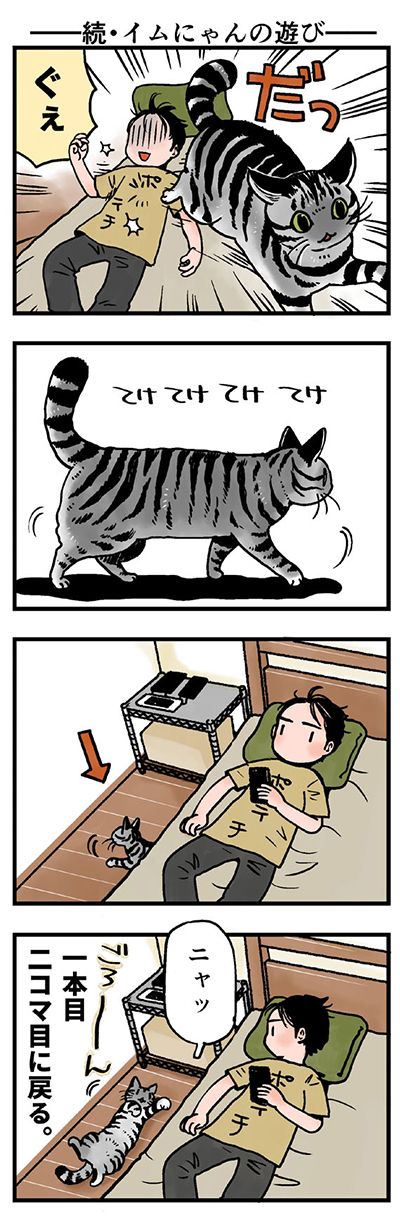 イムにゃんの遊び フェリシモ猫部