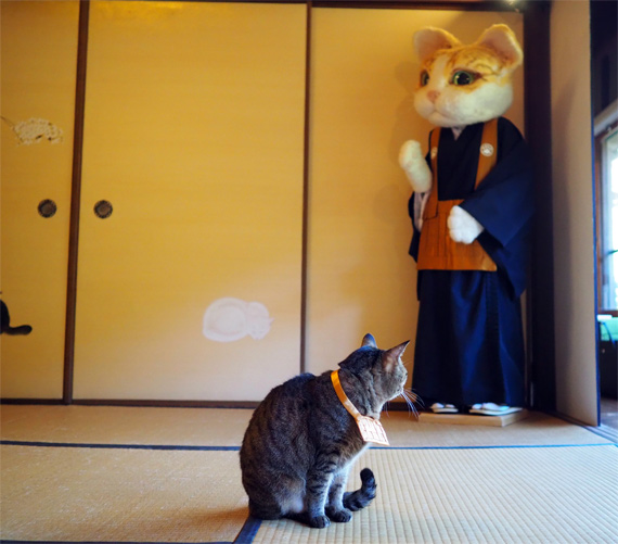 sakuraneko2191.jpg