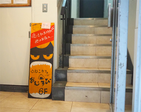 sakuraneko3279.jpg