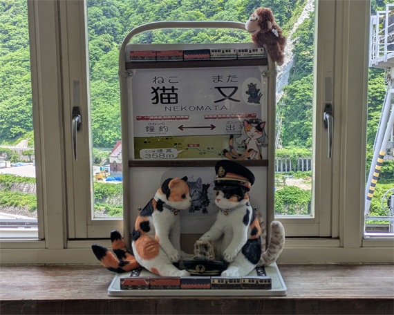 sakuraneko3660.jpg