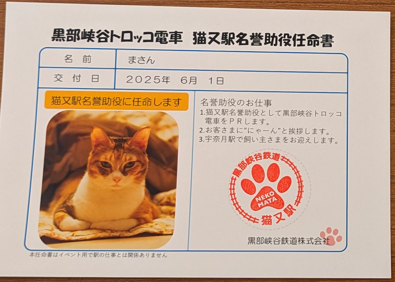 sakuraneko3664.jpg