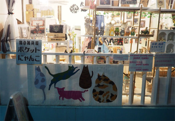 sakuraneko4070.jpg