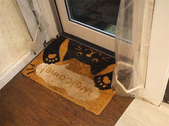 sakuraneko4072.jpg