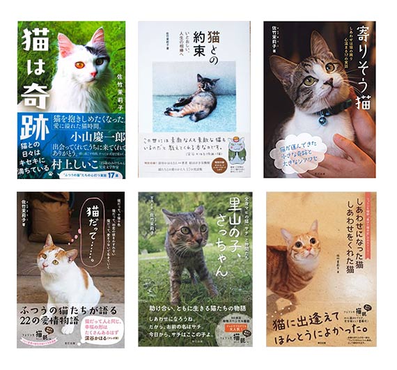 satake_books.jpg