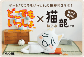 どこでもいっしょ2026