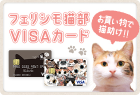 VISAカード