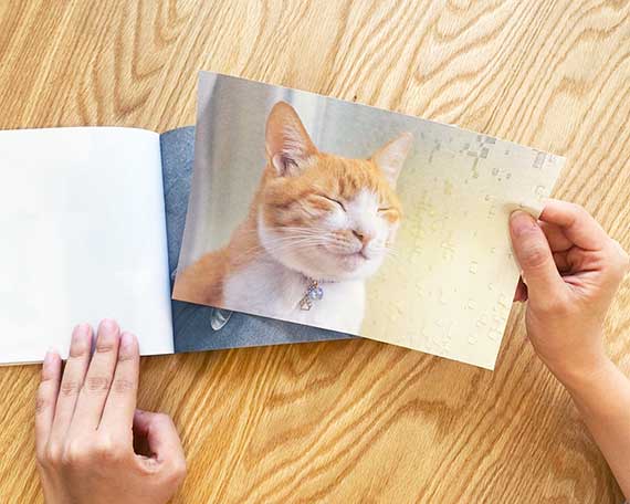 みにゃさまとつくった「猫部トーク100枚びんせん」が完成！│フェリシモ猫部